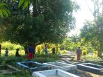 Peduli Lingkungan, Pemdes Nusababullah Bersama Warga Gotong Royong Bersihkan Rumput di Areal Kuburan