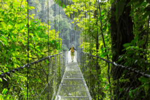Resized_Costa-Rica-1-1024x683.png