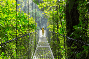 Resized_Costa-Rica-1024x683.png