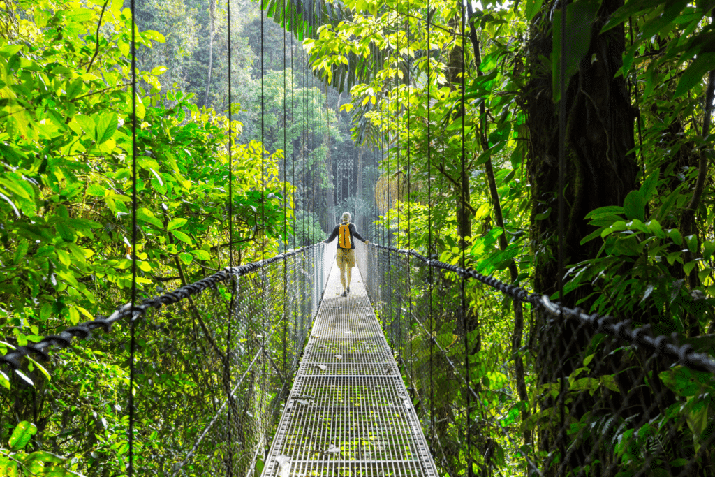Resized_Costa-Rica-1024x683.png