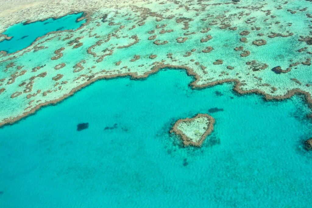 Aerial-Heart-Reef-scaled.jpg