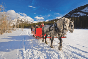 Cropped_Resized_Canada_Horse-drawn-sleigh-ride_Banff-National-Park-1024x683.png