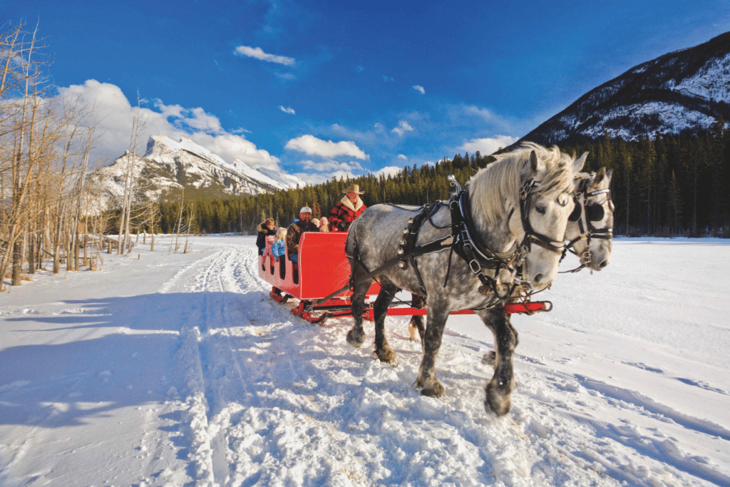 Cropped_Resized_Canada_Horse-drawn-sleigh-ride_Banff-National-Park-1024x683.png