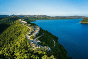 Cropped_Resized_The-Lind-Coron-1024x683.png