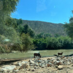 kabarsula  Namibia: Drought displaced Angolans face human rights abuses  bandar SLOT INDONESIA