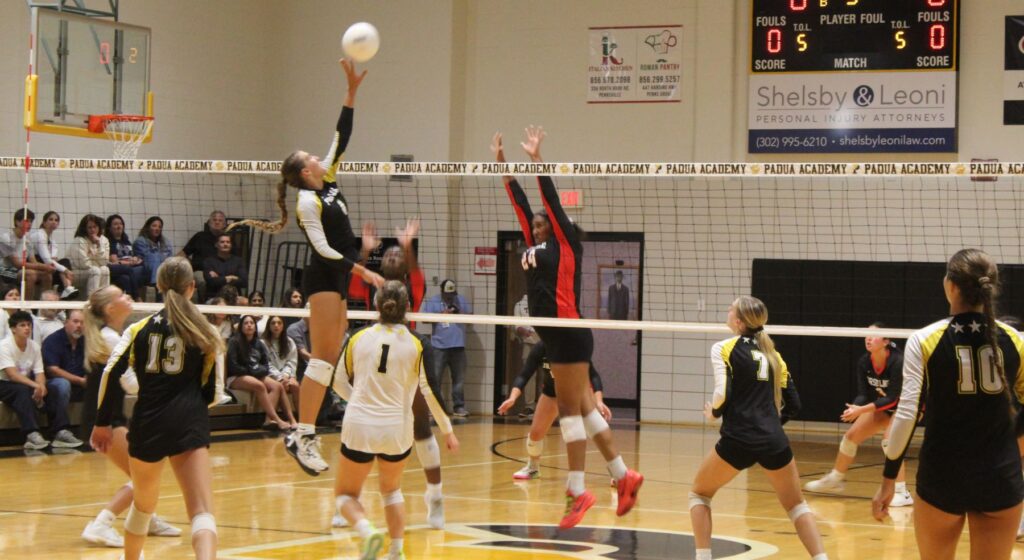 Pandas-Raiders-VB26-8.jpg