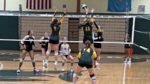Pandas-Spartans-VB26-1.jpg