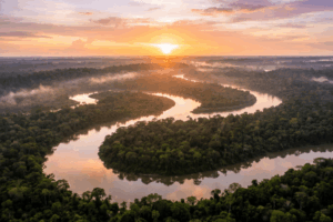 Resized_AS-amazon-river-1024x683.png
