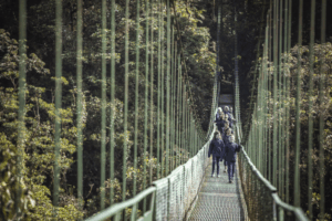 Resized_Costa-Rica-Monteverde-Skywalk-Suspension-Bridges-Families-Guide-1024x683.png