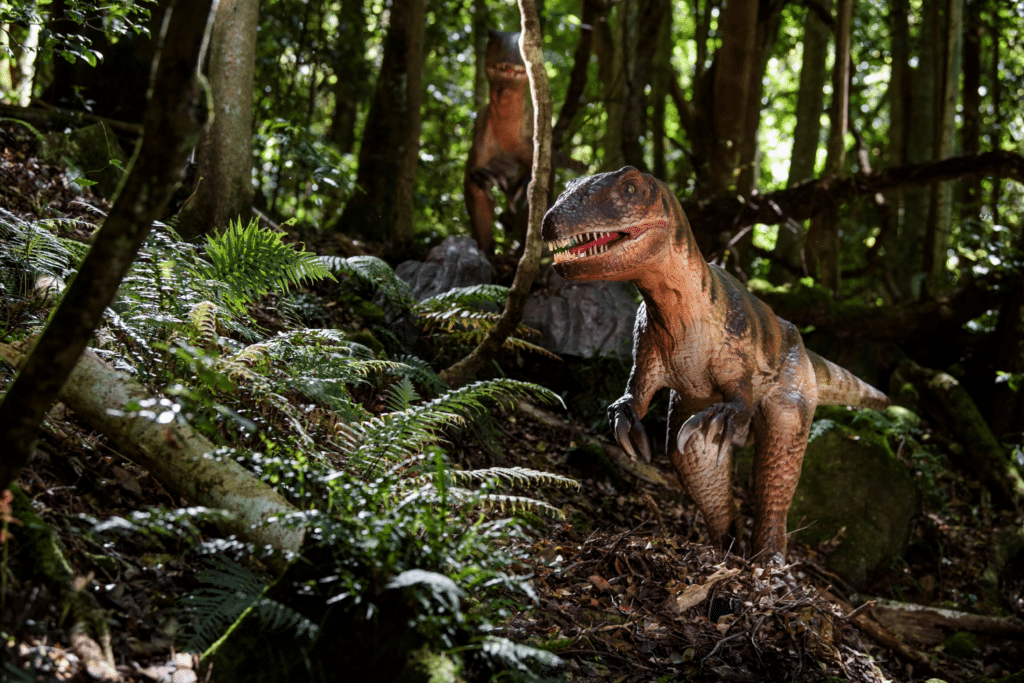 Resized_DINOSAUR-VALLEY-Australoventor-in-rainforest-©-Scenic-World-1-1024x683.png