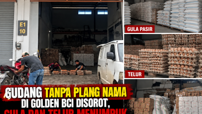 file_00000000e318820bbdc3731a9cc2ea89-400x225.png