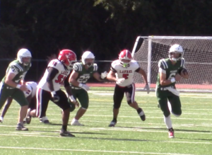 Auks-Laurel-FB26-8.png