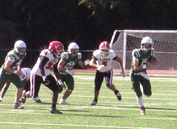 Auks-Laurel-FB26-8.png