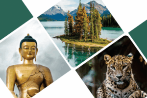 Cropped_Resized_Adventure-World-1st-Edition-Quarterly-Collection-Cover-1024x683.png