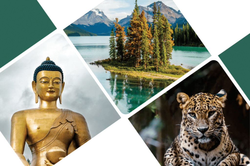 Cropped_Resized_Adventure-World-1st-Edition-Quarterly-Collection-Cover-1024x683.png