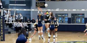 Pandas-Seahawks-VB26-4.jpg