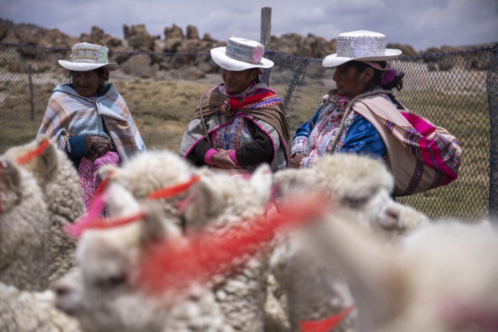 Photo-Fernando-Lopez-PROMPERU-scaled.jpg