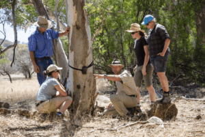 Resized_Stay-Intrepid-Australia-SA-Arkaba-Experiences-guide-group-teaching-camera-trap-setup-wildlif.png