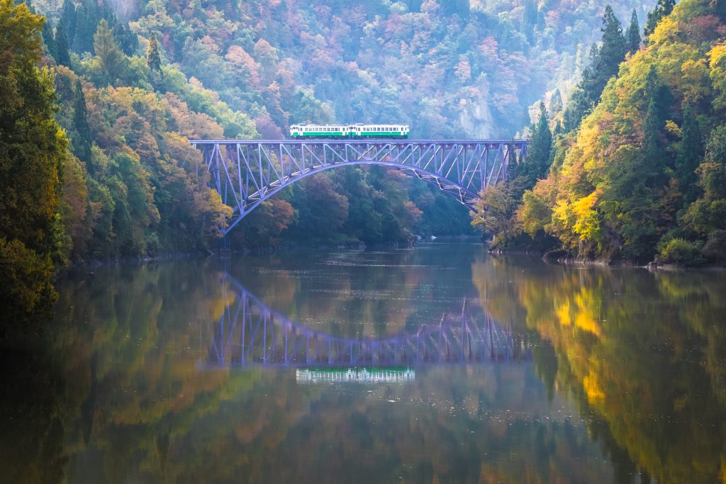 iStock-894870418-1024x683.jpg